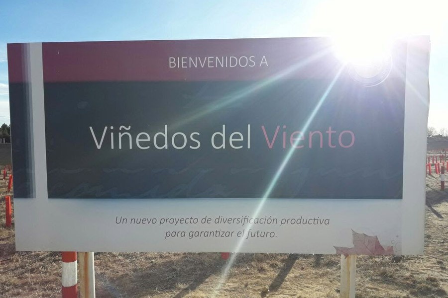 foto Viñedos del Viento - Cutral Co